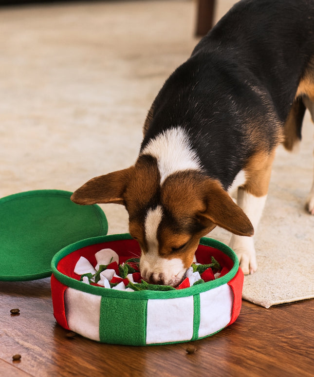Gift Box Snuffle Toy for Dogs – Interactive Nosework Toy