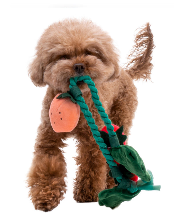 Strawberry Hide & Seek Dog Toy – Interactive Plush Puzzle
