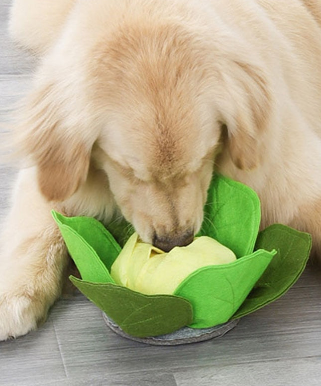 Cabbage Nosework Dog Toy – Interactive Treat Puzzle