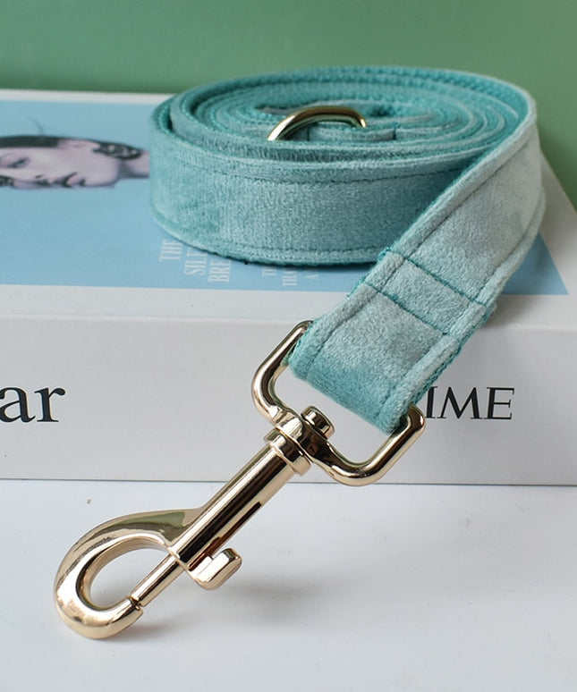 Teal Leash