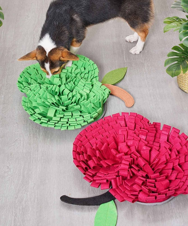 Apple Snuffle Mat for Dogs – Interactive Nosework Toy