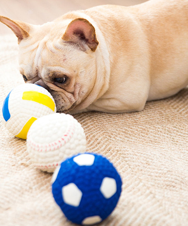 Squeaky Latex Dog Ball Toy – Football, Soccer, Baseball & Volleyball