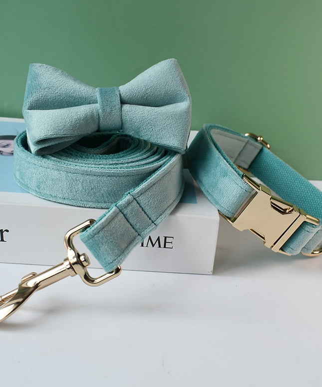 Teal Leash