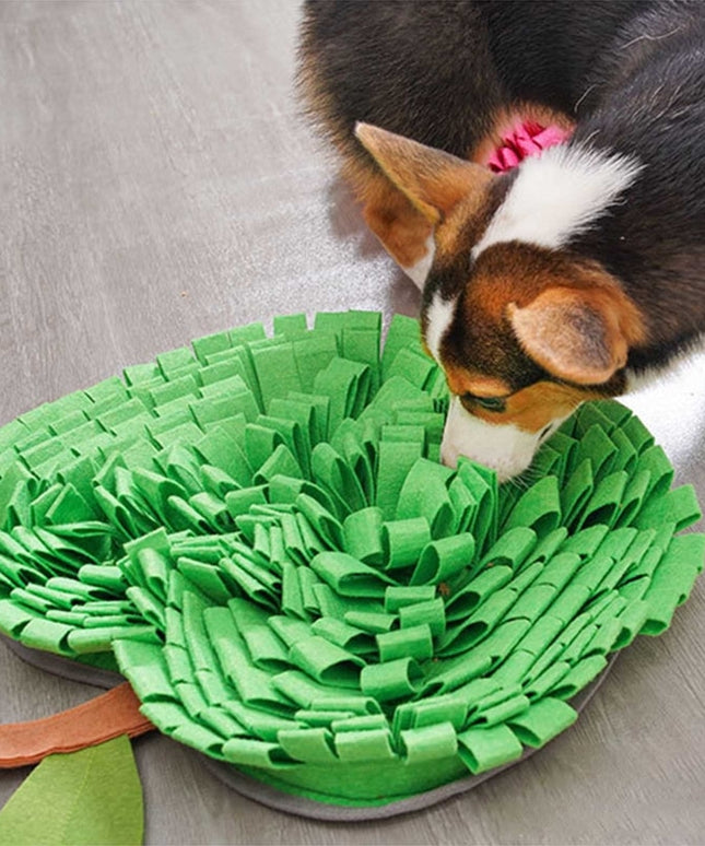 Apple Snuffle Mat for Dogs – Interactive Nosework Toy