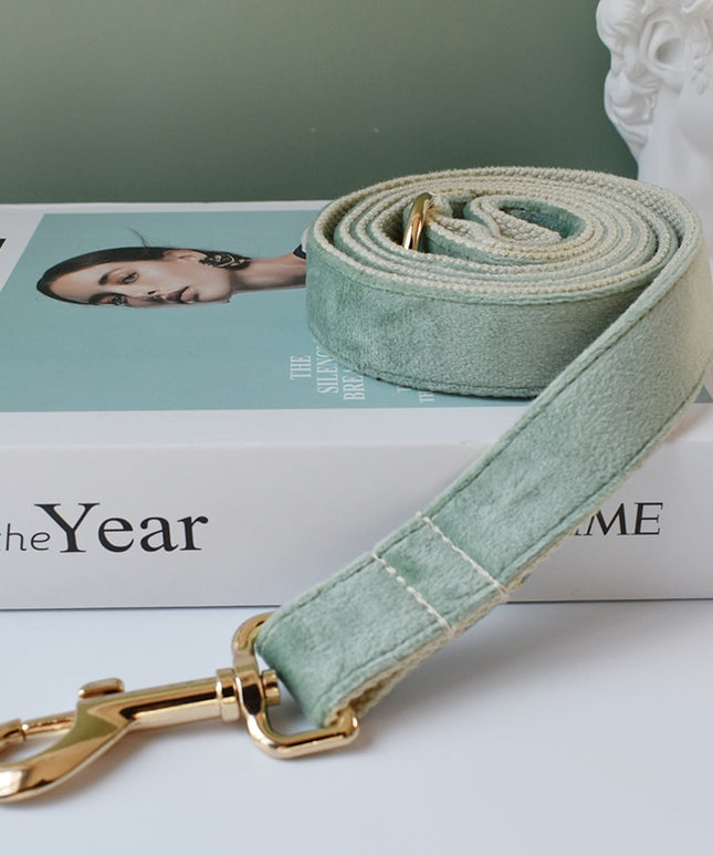 Mint Green Leash