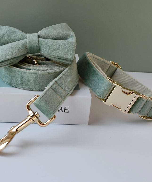 Mint Green Leash
