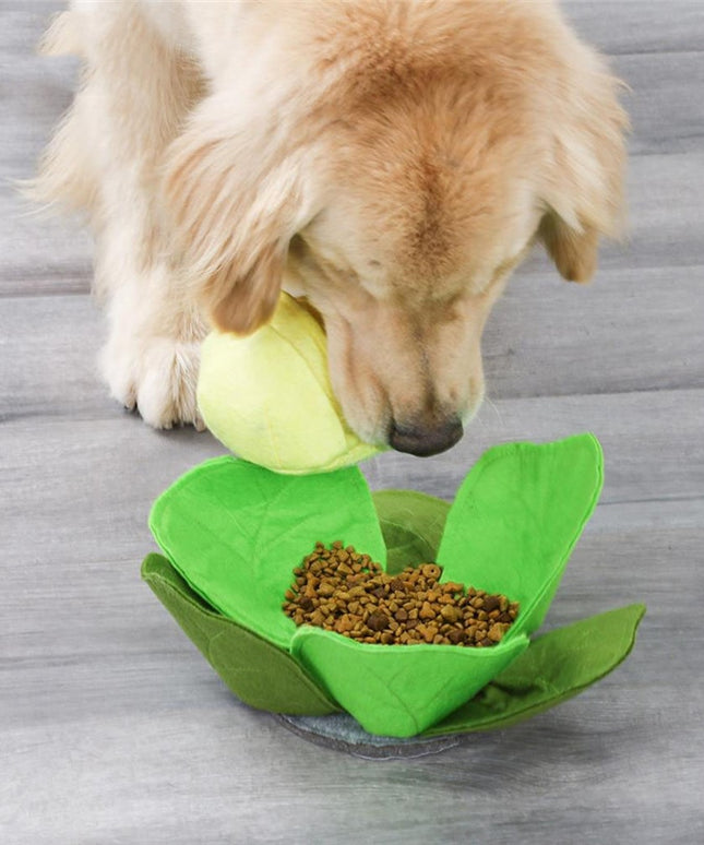 Cabbage Nosework Dog Toy – Interactive Treat Puzzle